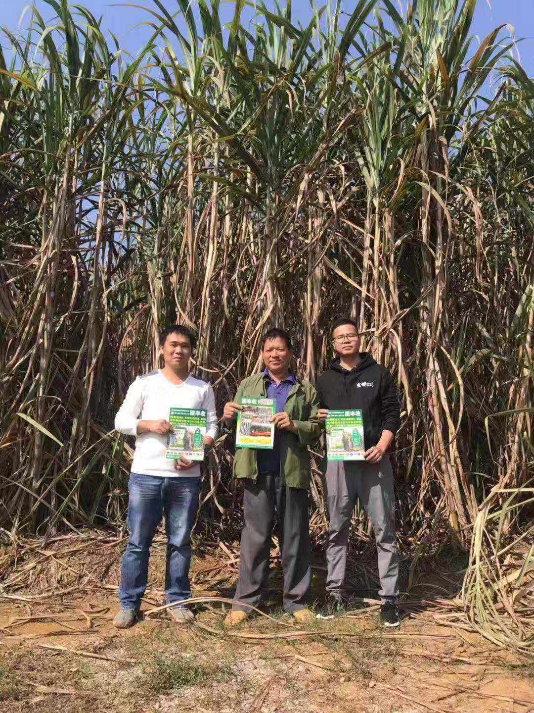 產品效果