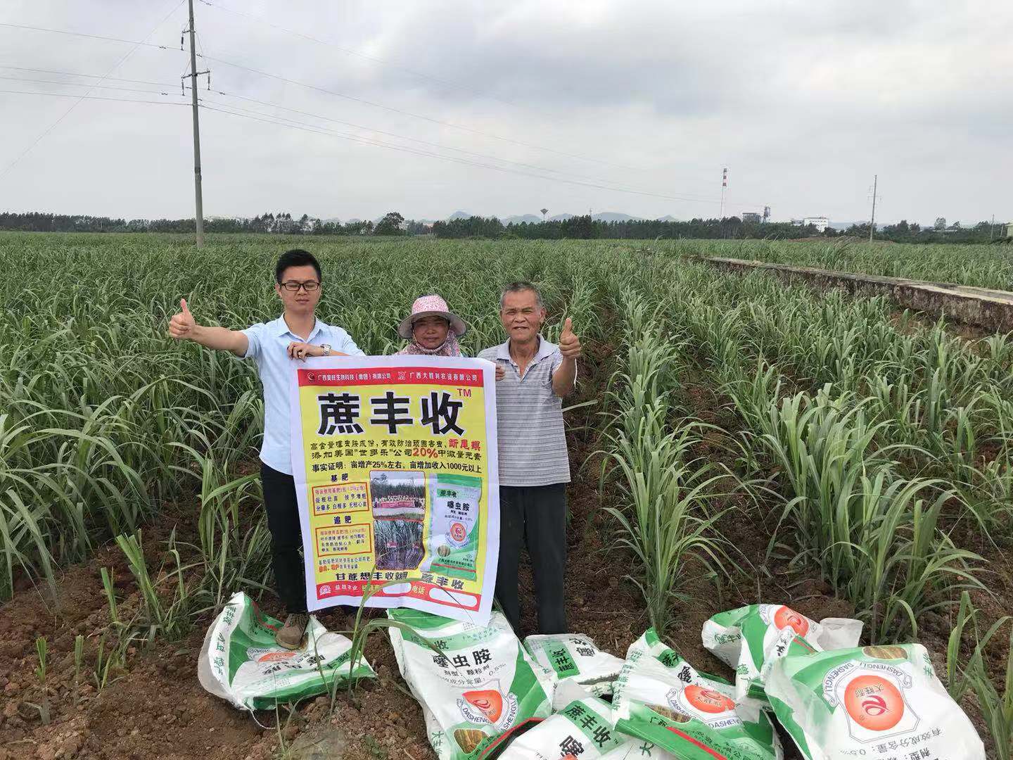 產品效果